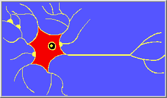 A Neuron Cell